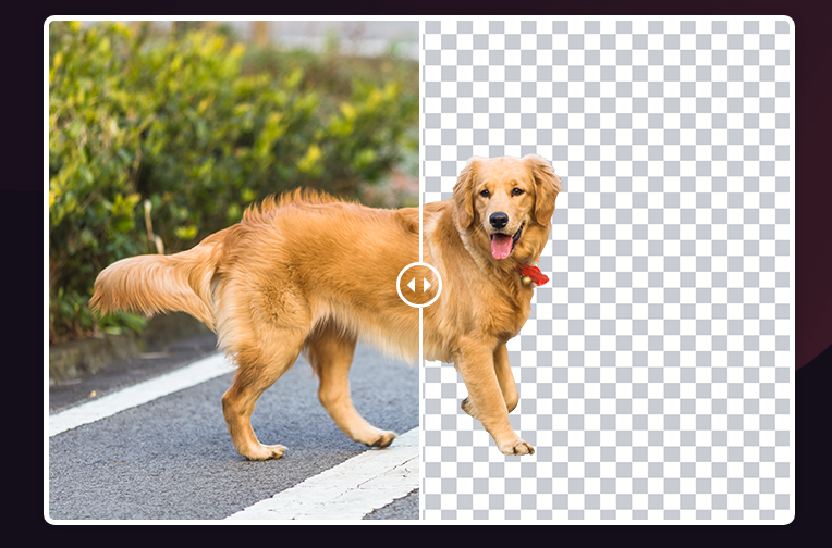 Design Beast bacground remover tool